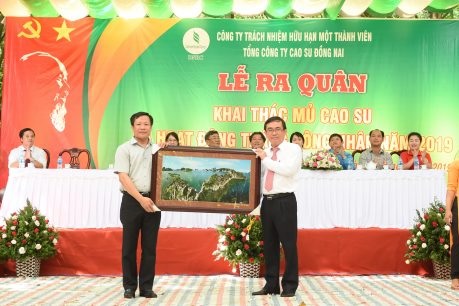 Cao su Đồng Nai quyết tâm vượt trên 3% kế hoạch sản lượng